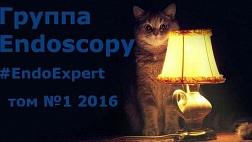 Опыт группы Endoscopy FB 2016